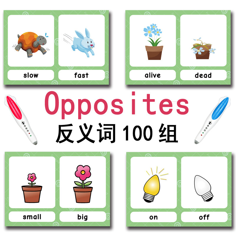 The 100 Groups Opposites Flash - Kids Education Learning ulasan dan harga