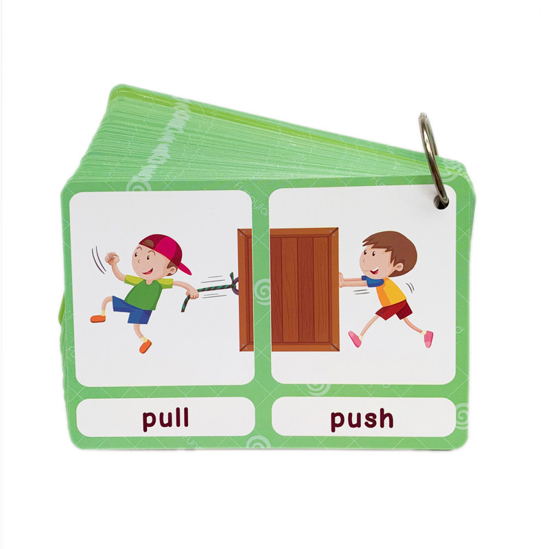 The 100 Groups Opposites Flash - Kids Education Learning ulasan dan harga