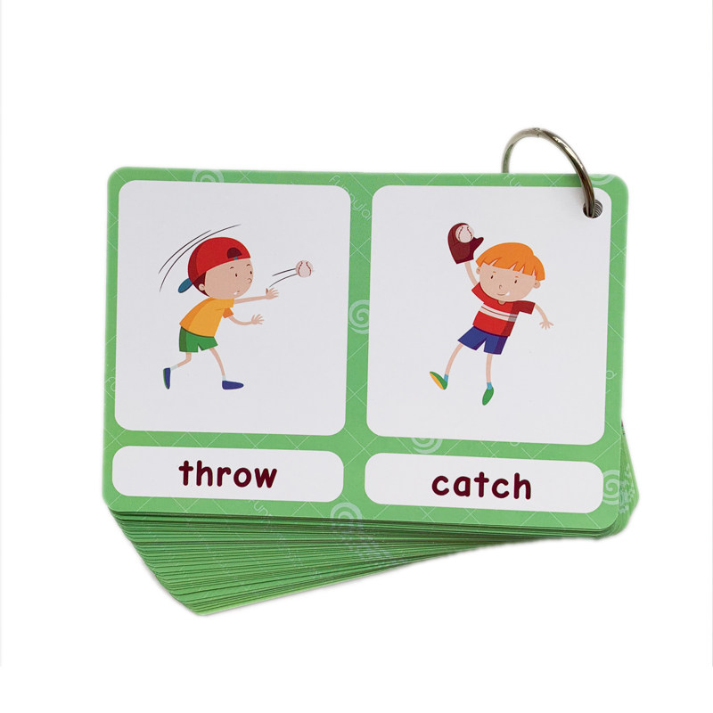 The 100 Groups Opposites Flash - Kids Education Learning ulasan dan harga