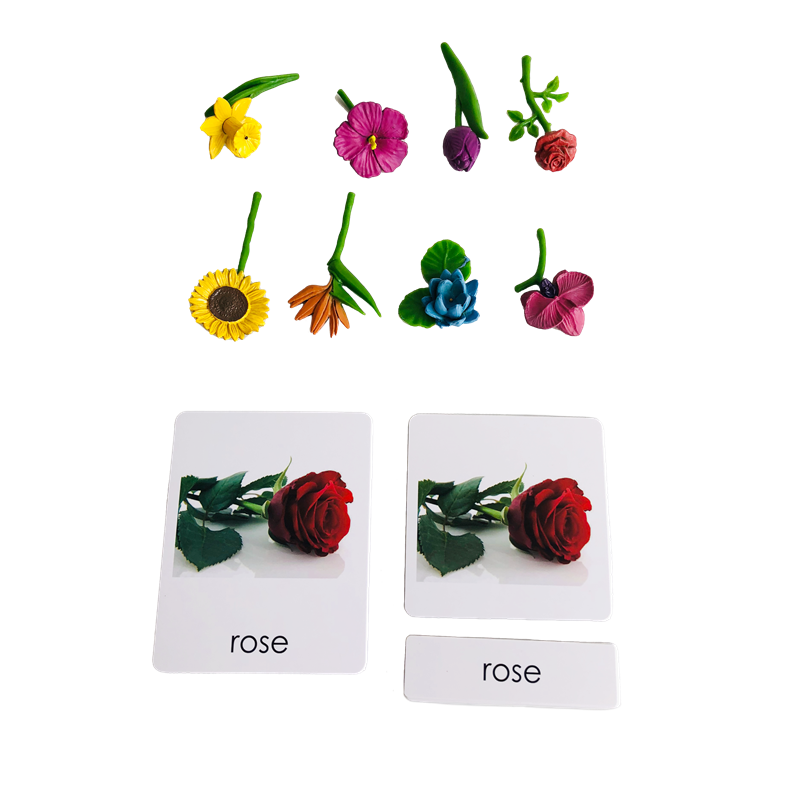 Montessori Language Materials  - Human Body Puzzle ulasan dan harga