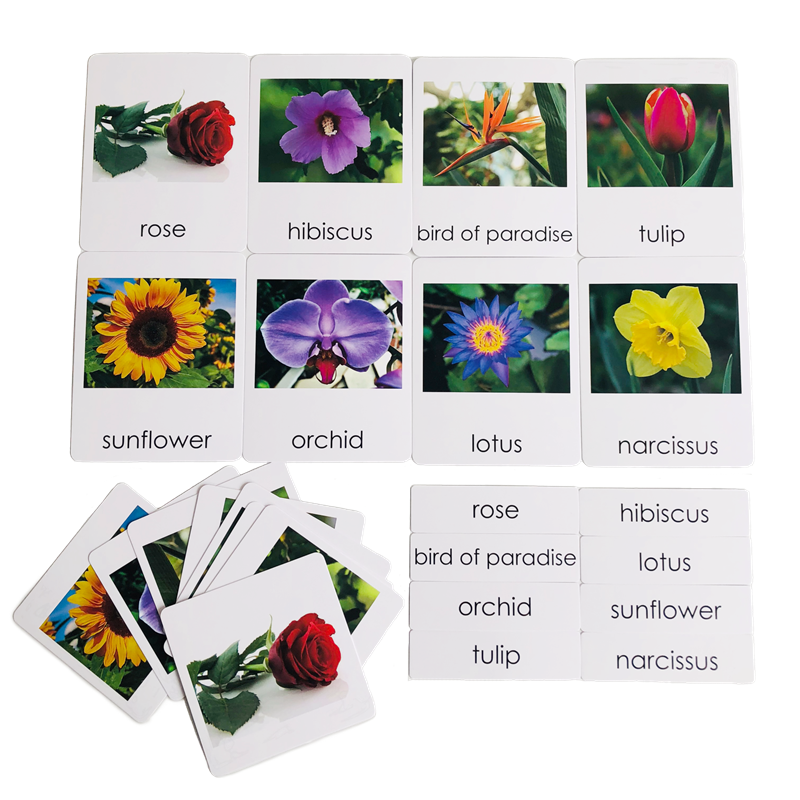 Montessori Language Materials  - Human Body Puzzle ulasan dan harga