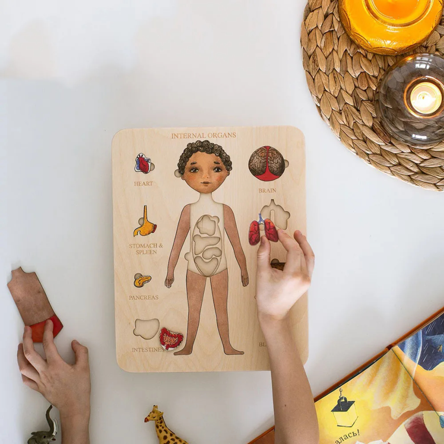 Montessori Wooden Puzzle Male  - Human Body Puzzle ulasan dan harga