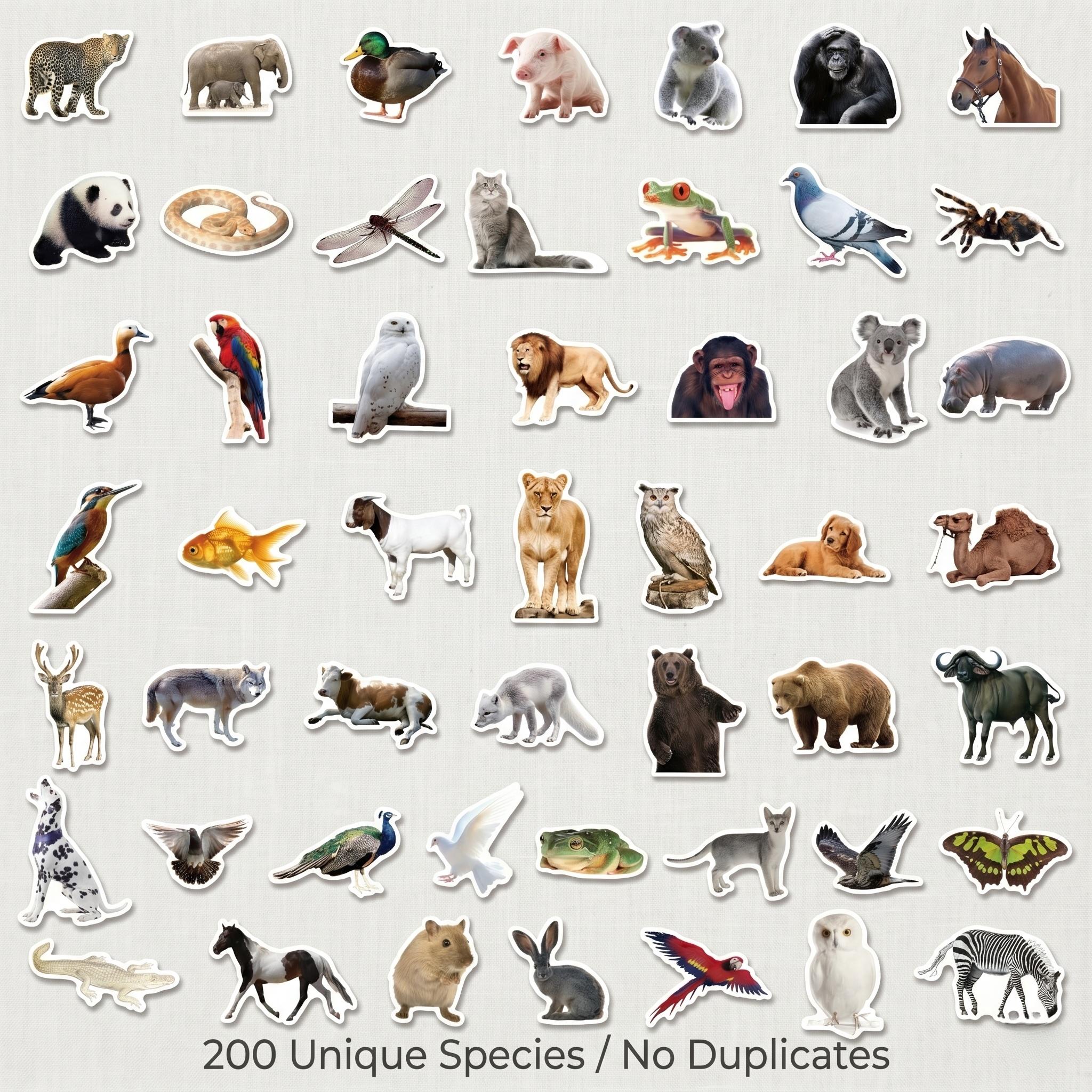 50/200Pcs Realistic Animal Sti - Kids Education Laptop ulasan dan harga