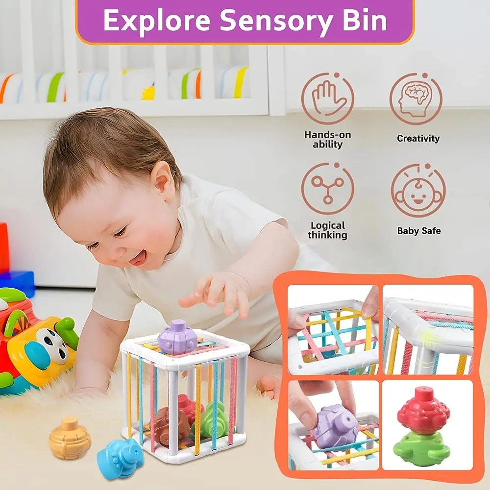 Rainbow Colorful Montessori Sh - Kids Education Things ulasan dan harga