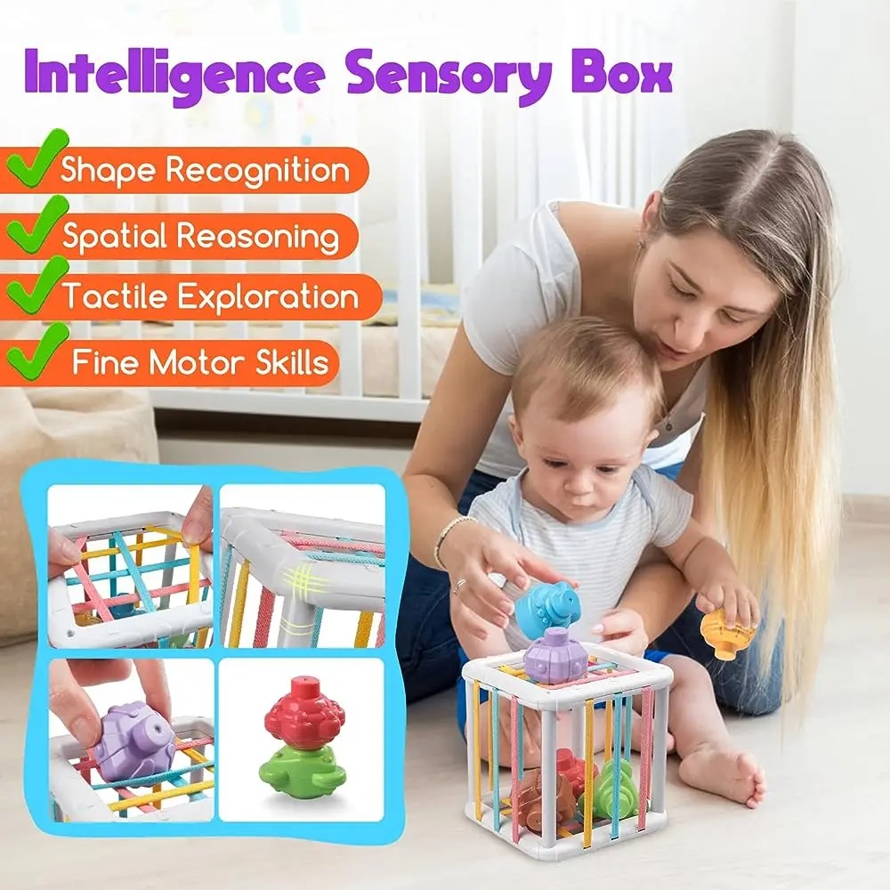 Rainbow Colorful Montessori Sh - Kids Education Things ulasan dan harga