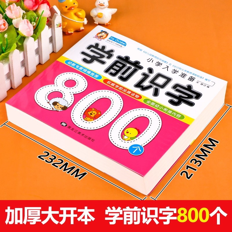 Preschool Literacy: 800 Chines - Kids Education Books ulasan dan harga