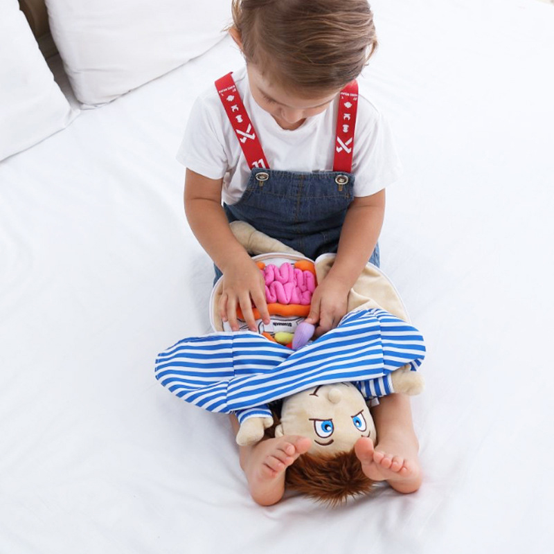 Kid 3D Puzzle Human Body  Mode - Human Body Puzzle ulasan dan harga