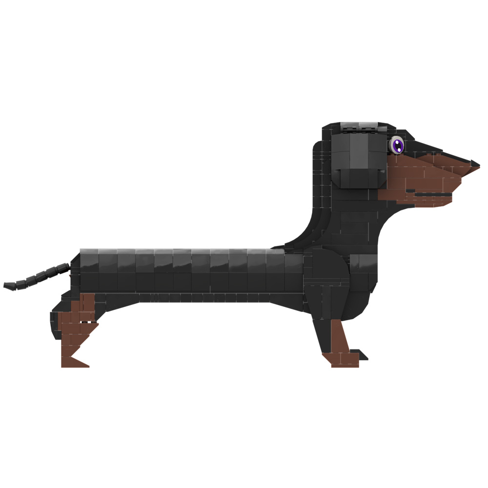 2026 New MOC Germany Dachshund - Kids Education In Germany ulasan dan harga