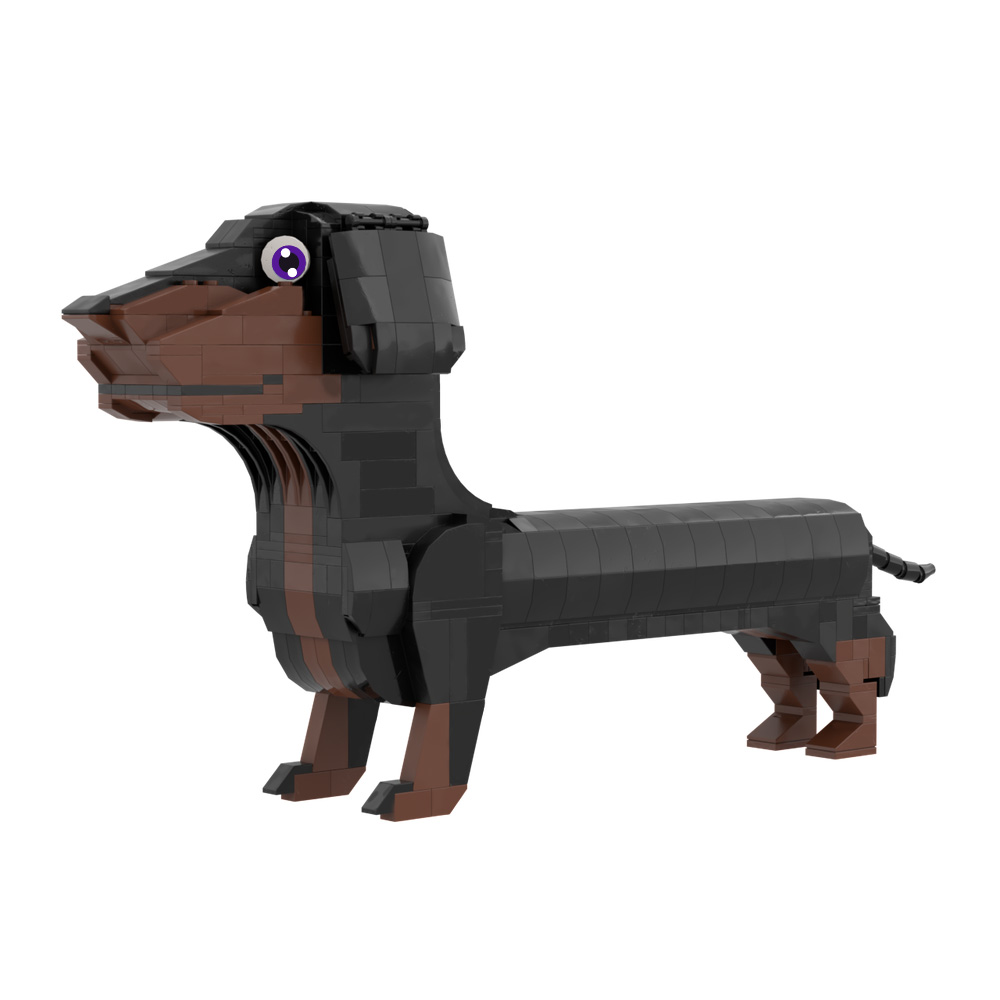 2026 New MOC Germany Dachshund - Kids Education In Germany ulasan dan harga