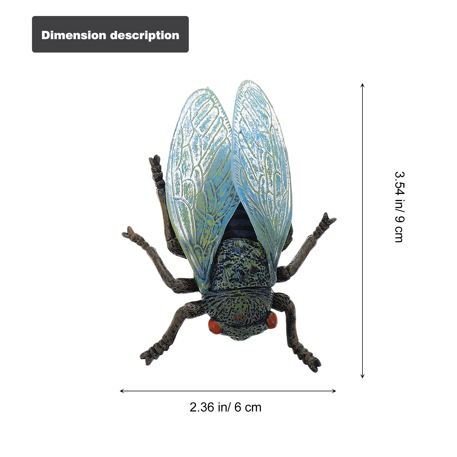1Set Simulation Cicada Growth  - Kids Education Learning ulasan dan harga